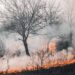 Greenhouse Effect And Global Warming Facts