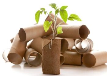 What Is The Importance Of Recycling?