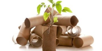 What Is The Importance Of Recycling?