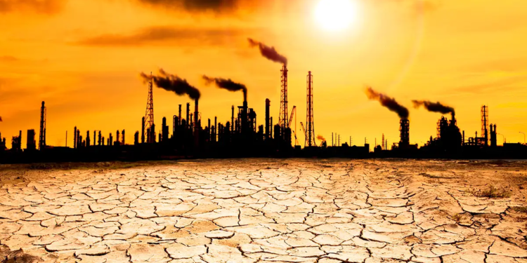 What Can We Do To Stop Global Warming?